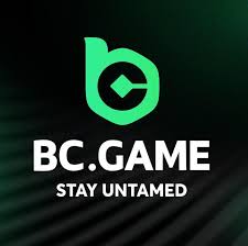 Understanding BC.Game Withdrawal Methods for Seamless Gaming