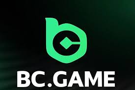 Understanding the BC.Game Login Process Understanding the BC.Game Login Process