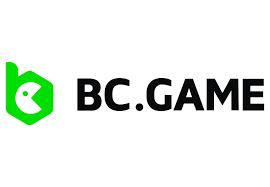 Understanding BC.Game Payments A Comprehensive Guide -967243325